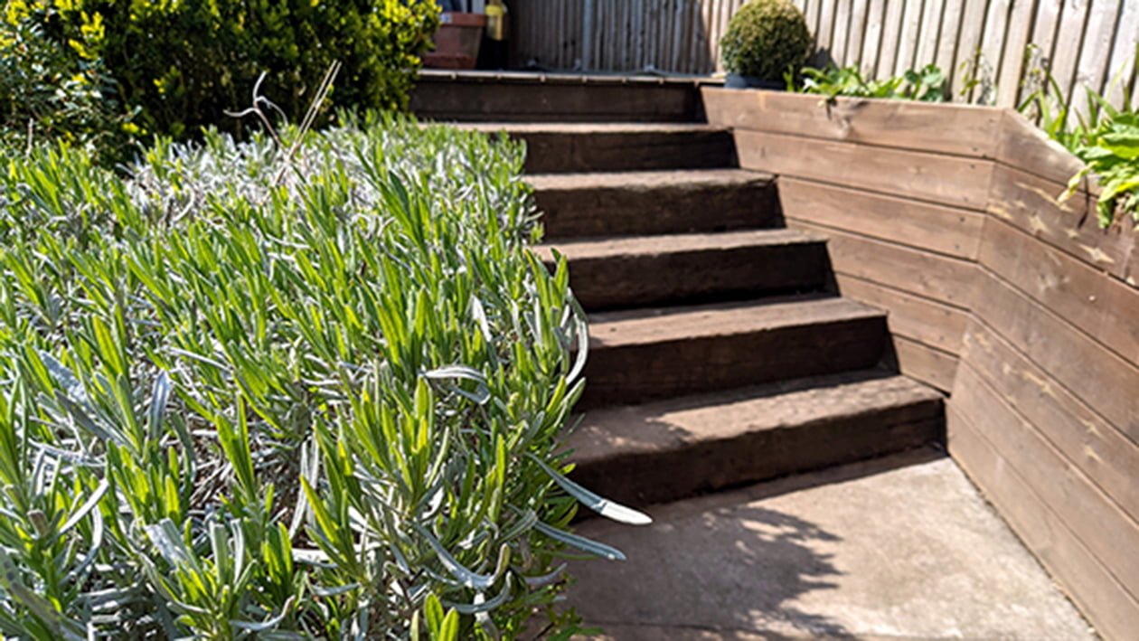 Rear Garden PGP Studio