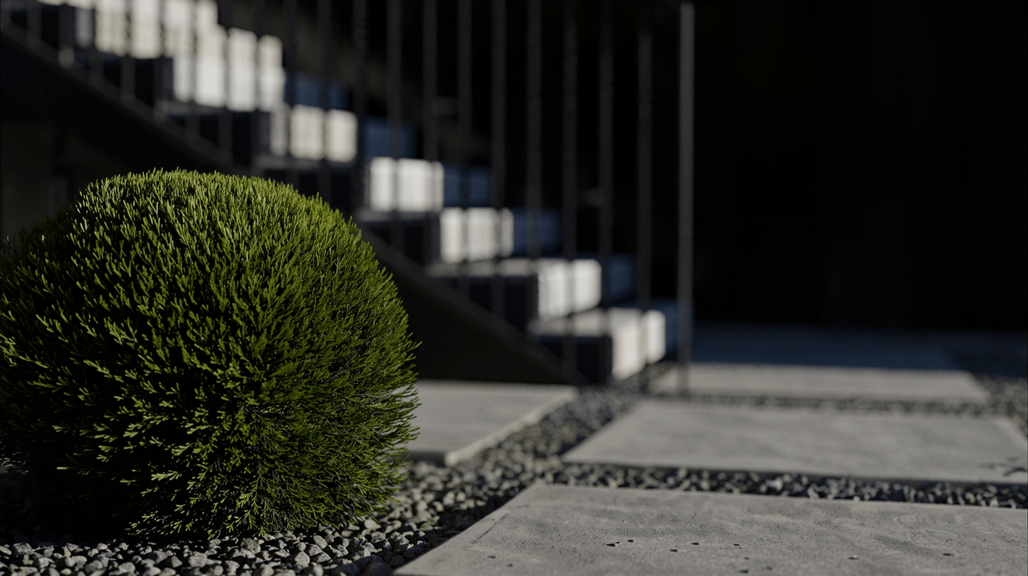 Hill-House-landscape-taxus-baccata-PGPstudio