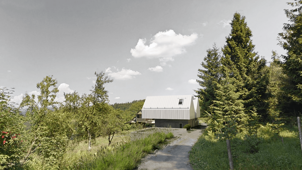 wisla-rental-house-zinc-cladding-barn-conversion-architecture-trends-2020-PGPstudio Barn conversion from the distance